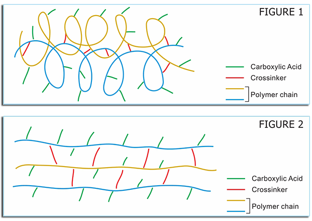 biopol_structure